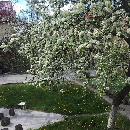 Квартира-студія Шале Трускавец Экстерьер фото