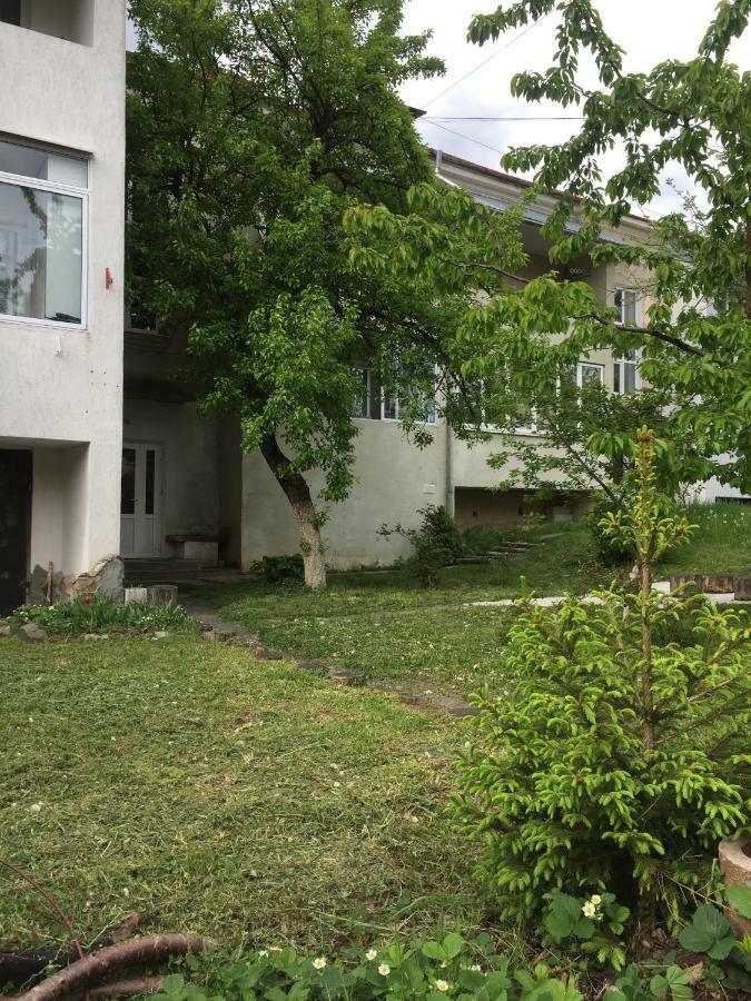 Квартира-студія Шале Трускавец Экстерьер фото